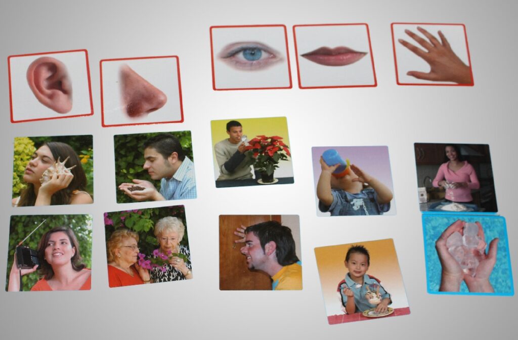 Fotografická, didaktická hra Zmysly, Akros